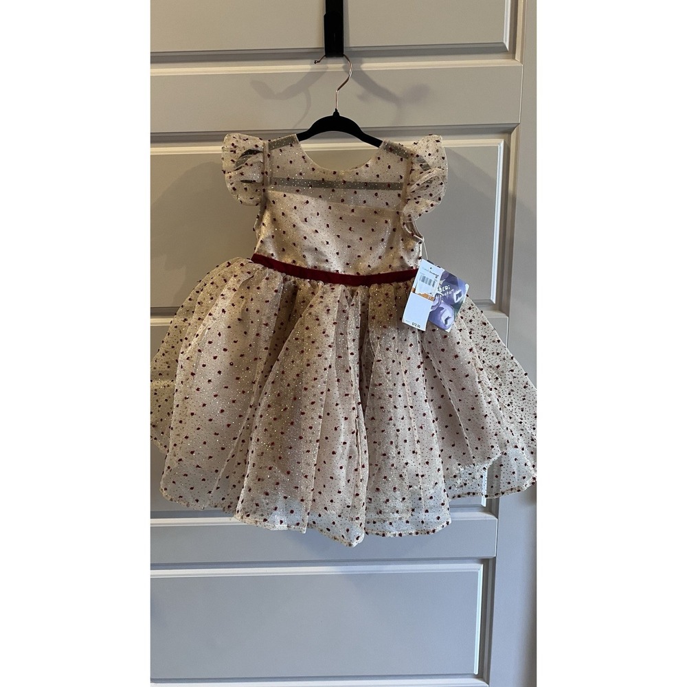 Blueberi Boulevard Holiday Dress Size 3T
